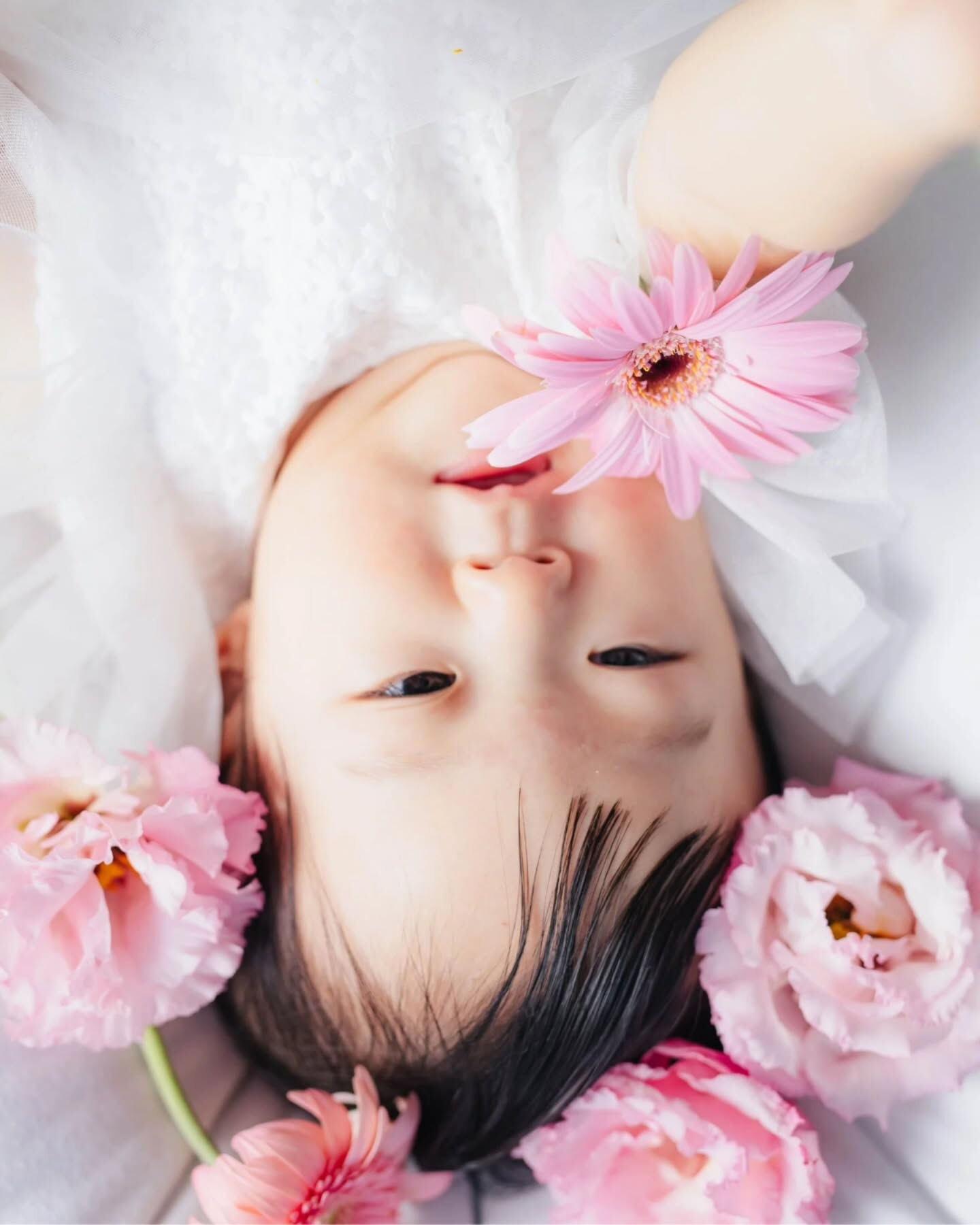【 お花と〇〇 】