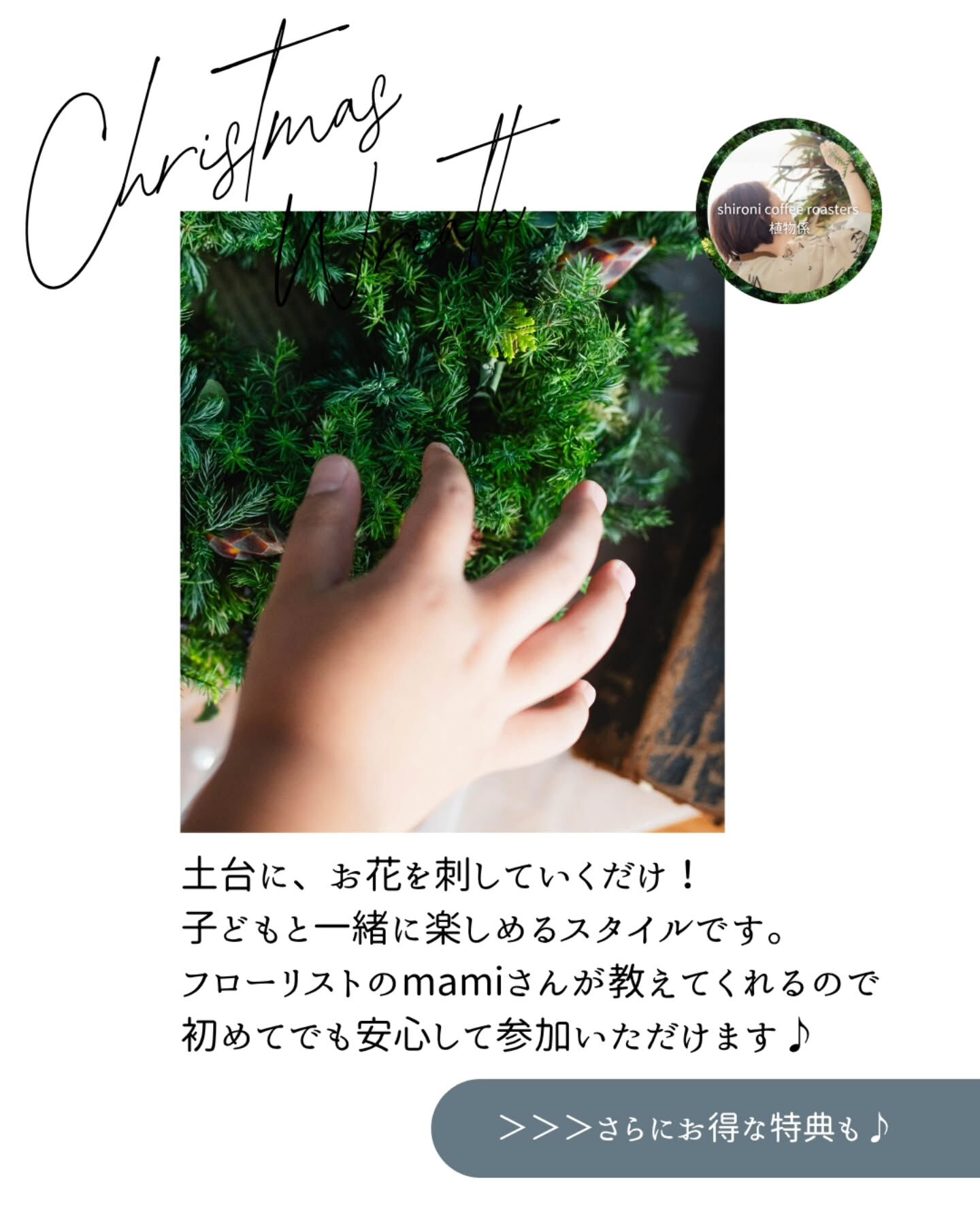 【 フローリスト直伝、親子で楽しめるクリスマスリース作り🎄 